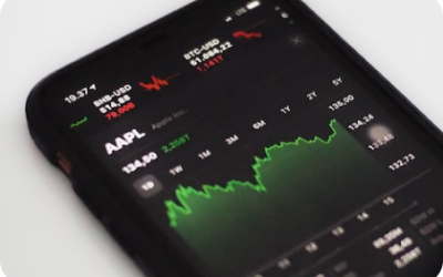 Access Your Individual IRS Account.